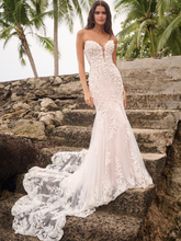 Load image into Gallery viewer, Tanica