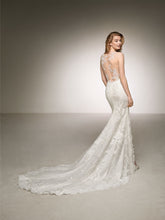 Load image into Gallery viewer, Dauco