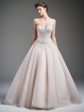 Load image into Gallery viewer, 1629