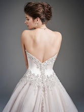 Load image into Gallery viewer, 1629