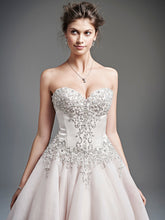 Load image into Gallery viewer, 1629