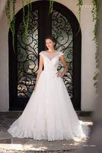 Load image into Gallery viewer, Aster