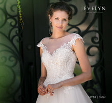 Load image into Gallery viewer, Aster